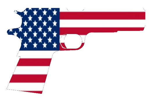 gun laws in usa