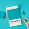 Reply to Trademark Objection by Registrar